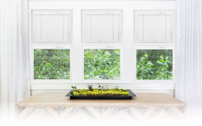 4 Features of Windows with Blinds Between the Glass