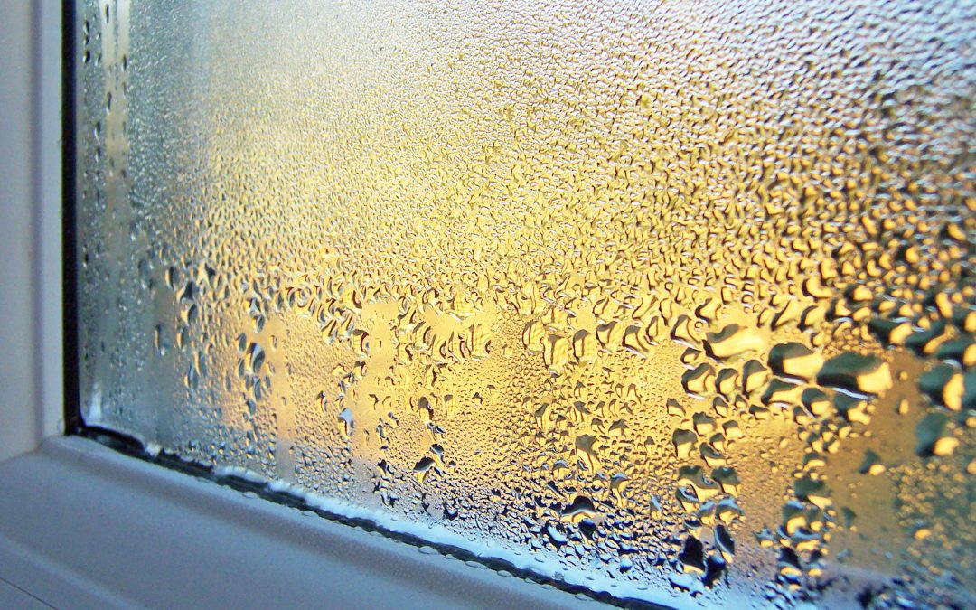 What Causes Condensation on Windows and How to Prevent It
